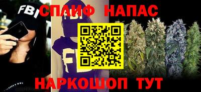 стафф Краснодар