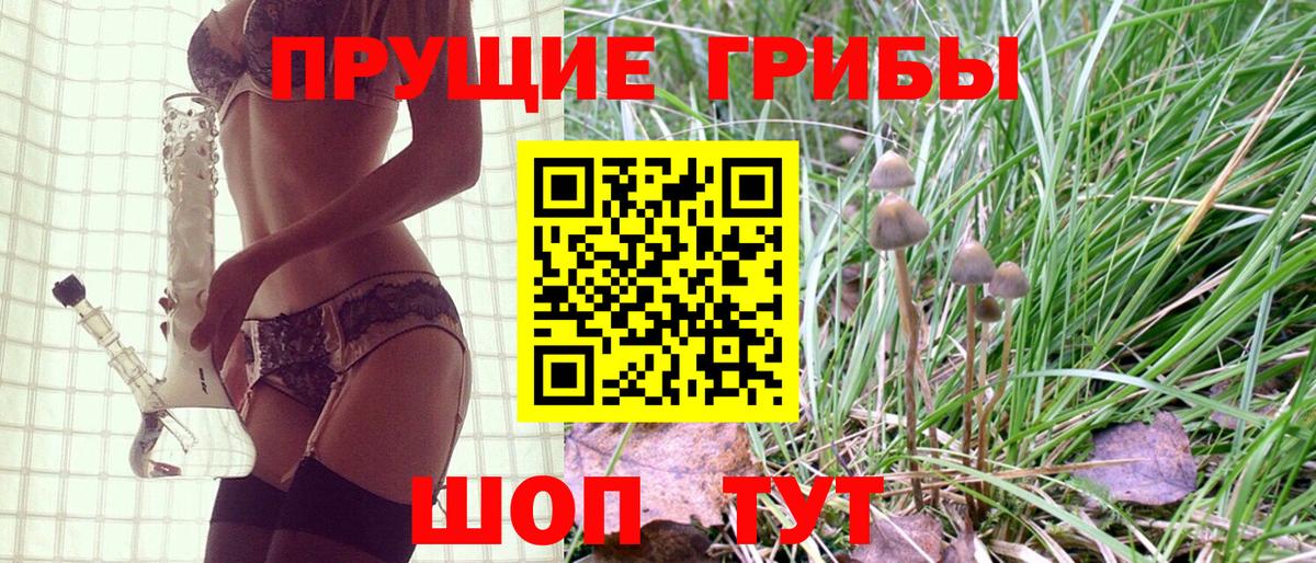 Псилоцибиновые грибы Psilocybe Дзержинск