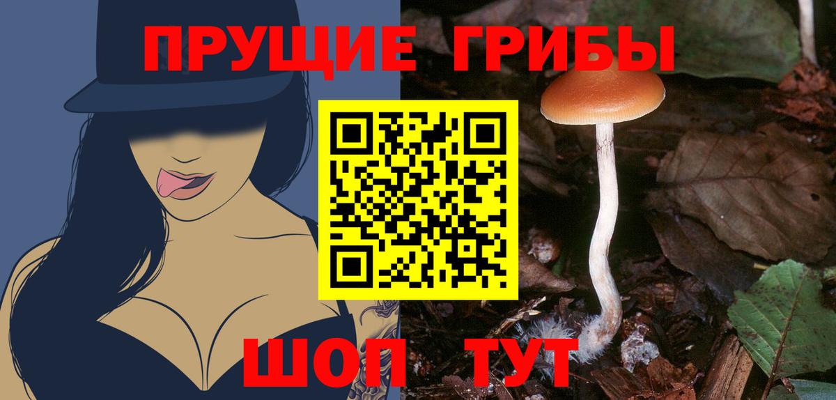Дзержинск  Псилоцибиновые грибы прущие грибы  Вход с VPN 
